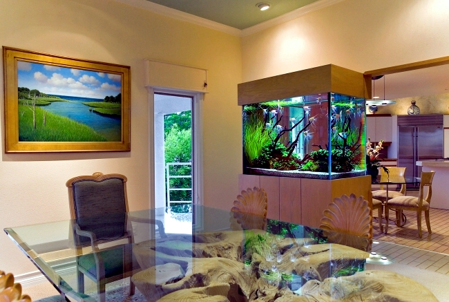 small living room with aquarium
