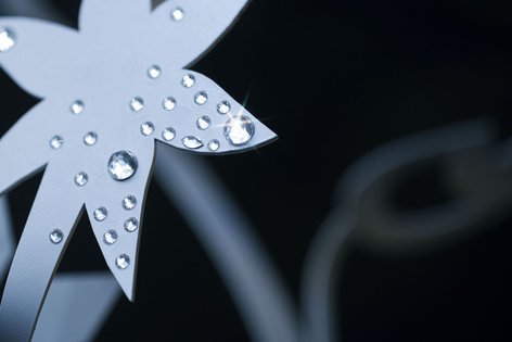 Winter Wonderland by Swarovski