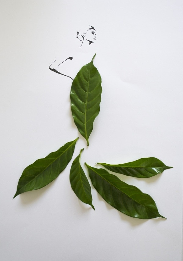 Fashion in Leaves by Tang Chiew Ling
