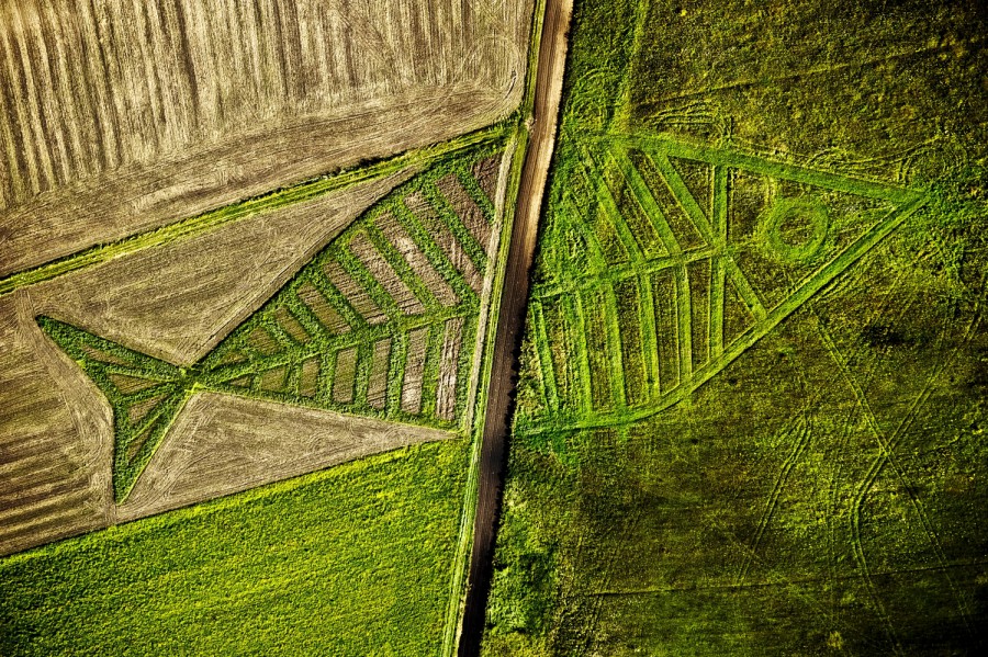 epa02877927 An aerial view shows the land art installation by Polish artist Jaroslaw Koziara as a part of the Land Art Festival on the field between Horodyszcze (Poland) and Warez (Ukraine), 23 August 2011. The giant fish was created by seedding different kind of plants on the field between the Polish and Ukrainian border. It in symbolic and physical ways crosses Schengen area towards Ukraine. The art of land is an artistic act to show that nature and culture are beyond borders established by man. EPA/WOJCIECH PACEWICZ POLAND OUT