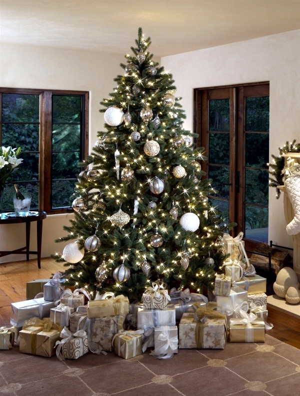 Choose the perfect Christmas tree - fresh green pine tips