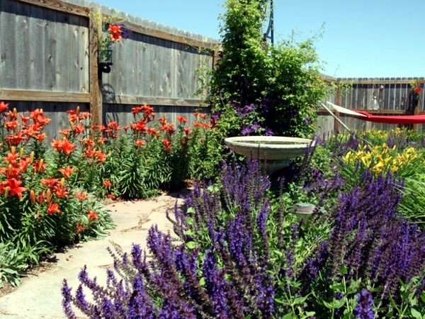 Creating gardens in the spring and summer - flowers and plants