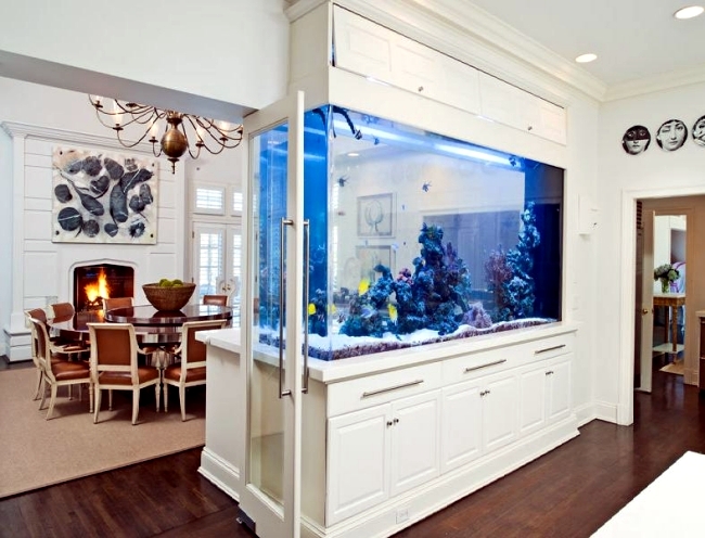 aquarium living room wall