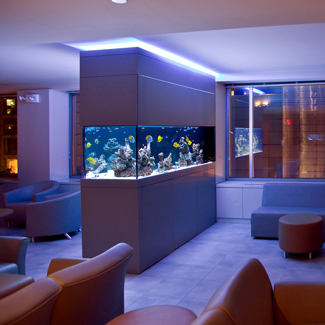 modern basement bar with fish tank inside ideas