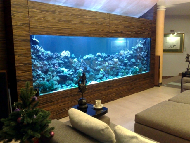 aquarium living room plans